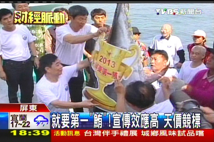就要第一「鮪」!宣傳效應高 天價競標
