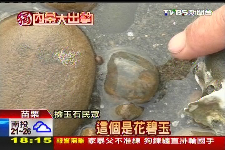 〈獨家〉白沙屯藏玉石　民眾退潮海岸線「淘寶」