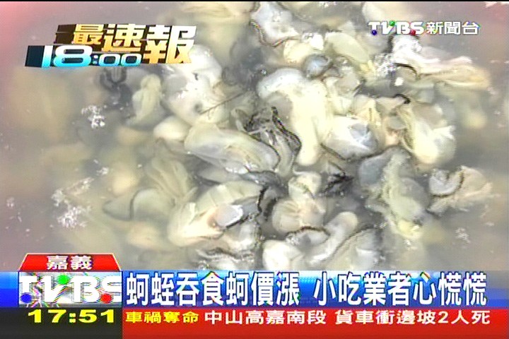 蚵蛭吞食蚵價漲 小吃業者心慌慌