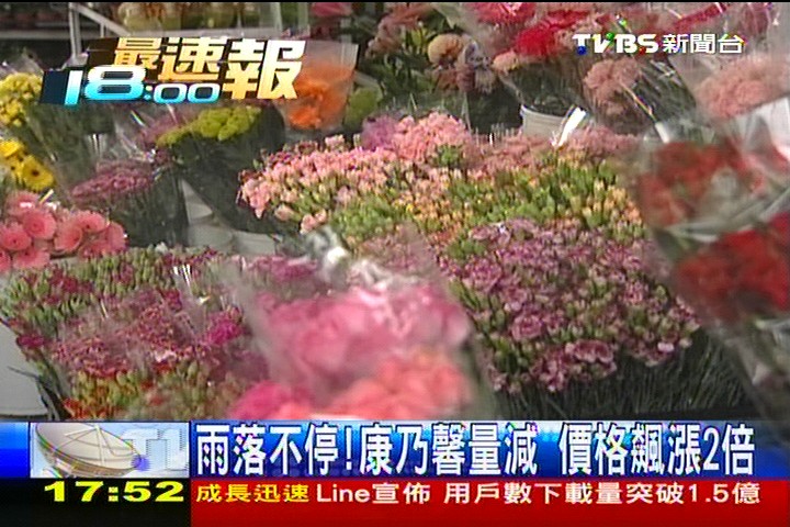 雨落不停!康乃馨量減 價格飆漲2倍
