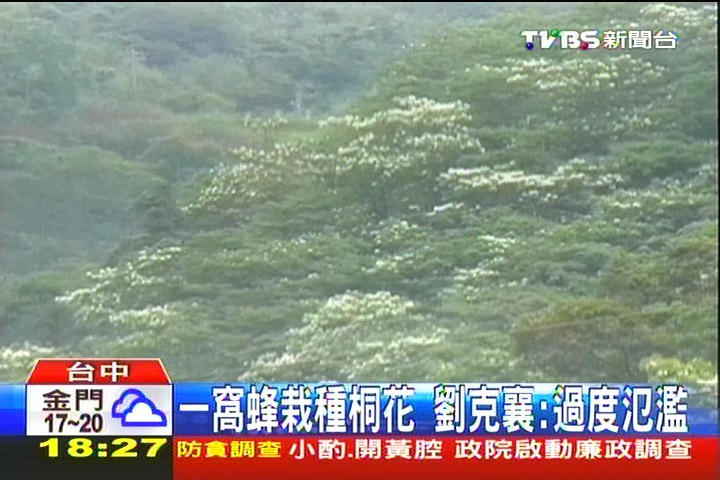 一窩蜂栽種桐花　劉克襄：過度氾濫