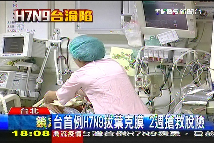 染H7N9台商心肺好轉 已拔除葉克膜!