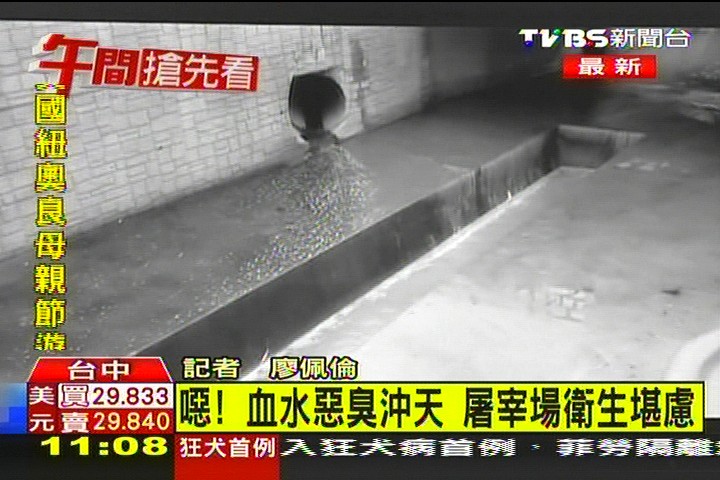 噁！雞隻量6千變2萬　屠宰場亂排血水