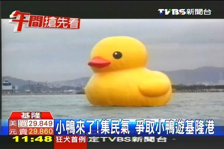 小鴨快來！集民氣　爭取小鴨遊基隆港