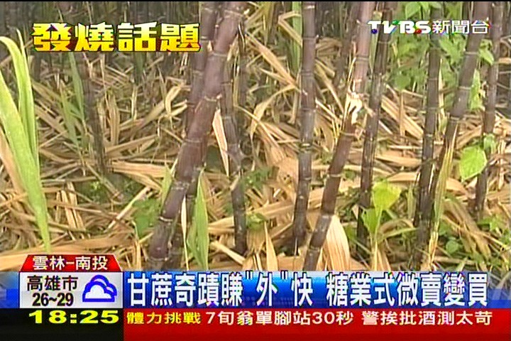 甘蔗興衰!昔占外匯8成 今掛零靠進口