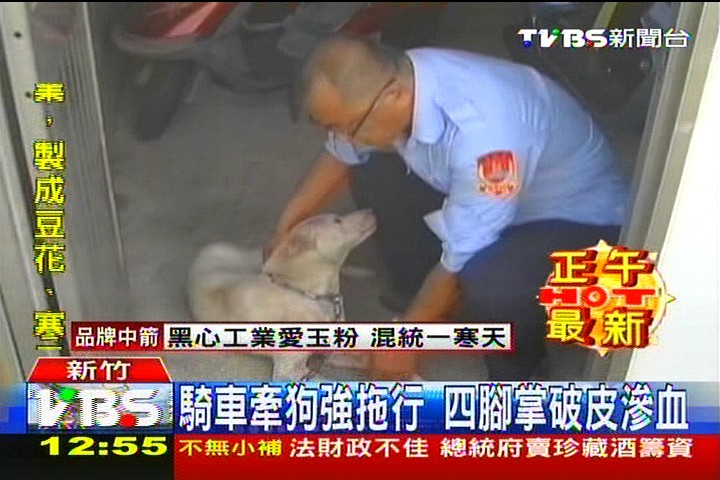 騎車牽狗強拖行　四腳掌破皮滲血