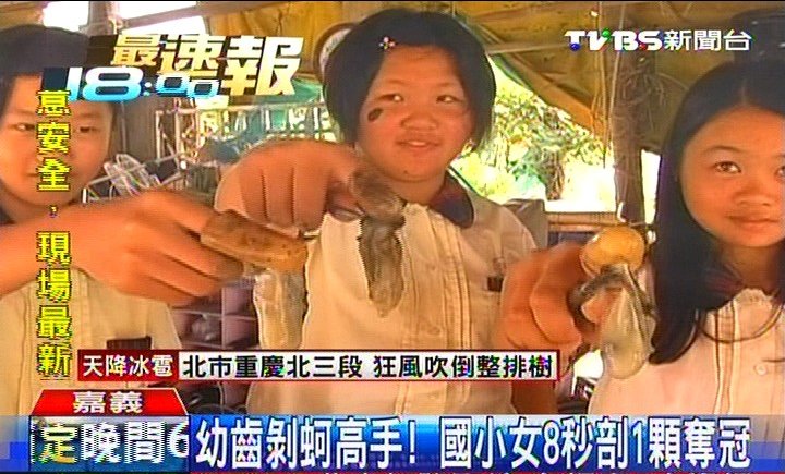 幼齒剝蚵高手! 國小女8秒剝1顆奪冠