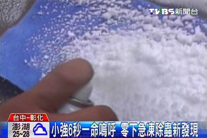 沒有毒!急凍噴霧 -75度C「冰封」小強