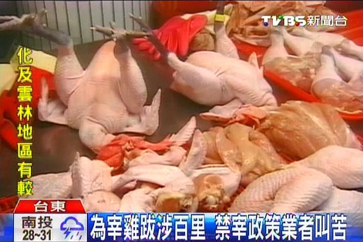 為宰雞跋涉百里　禁宰政策業者叫苦