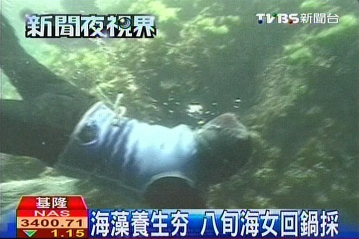 〈獨家〉海藻養生夯　八旬海女回鍋採