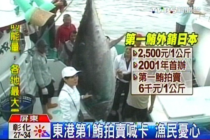 東港第1鮪拍賣喊卡　漁民憂心