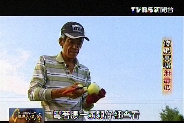 【一步一腳印】傻瓜實驗無毒瓜