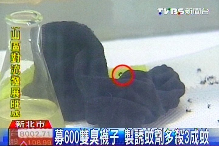 募600雙臭襪子　製誘蚊劑多殺3成蚊