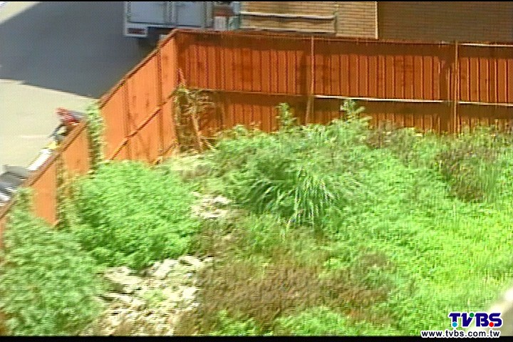 「有人叫來殺你」 都更戶控遭恐嚇