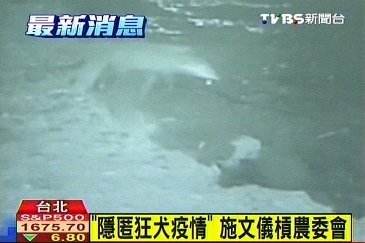 「隱匿狂犬疫情」　施文儀槓農委會