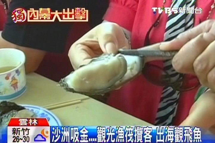 〈獨家〉沙洲吸金 觀光漁筏攬客出海觀飛魚