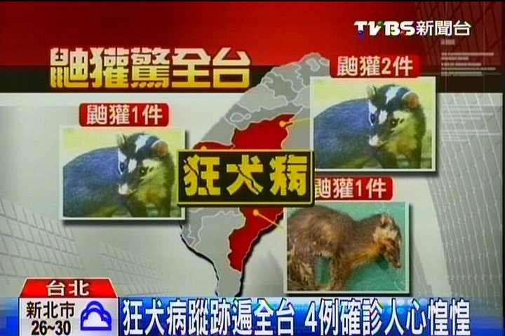 鍥而不捨! 關鍵台大團隊揪「狂犬病」