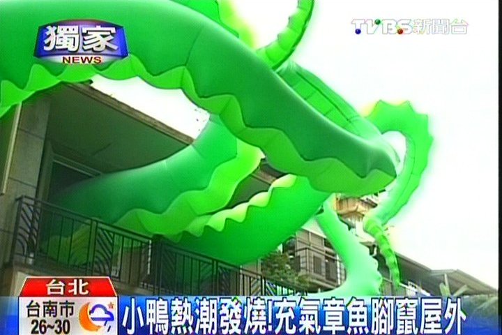 〈獨家〉小鴨熱潮發燒! 充氣章魚腳竄屋外