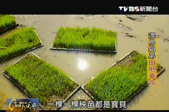 【一步一腳印】漂鳥姐弟田地革命