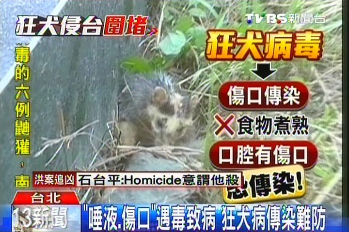 「唾液、傷口」遇毒致病 狂犬病傳染難防