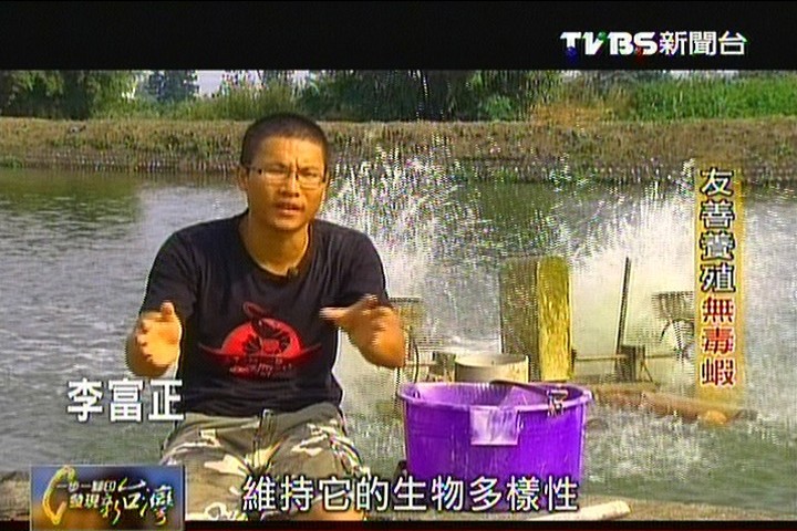 【一步一腳印】友善養殖無毒蝦