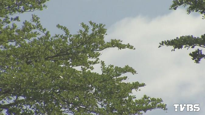 午後變天!首波梅雨鋒面報到 各地轉「雨」