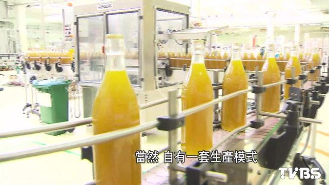 「10億台幣維護樹」 直擊義大利橄欖油製程!