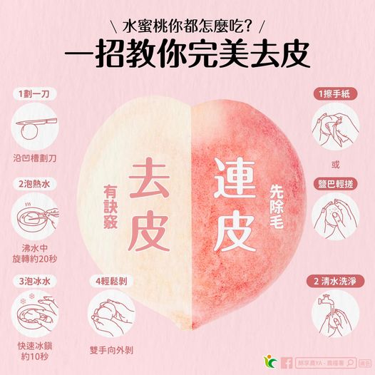 農糧署教快速剝水蜜桃皮。(圖/翻攝自農糧署臉書)