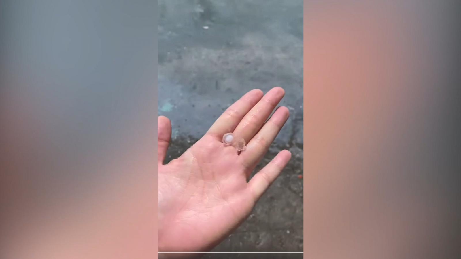 圖／翻攝自綠豆嘉義人
